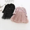 2019 Spring Hot sale Long sleeve Girls Cute Princess Dress Children's fake two pieces of Star Mesh Skirt