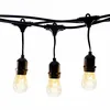 S14 LED string lights decorative outfit 48Ft 15 Soctets feit electric string lights for wedding