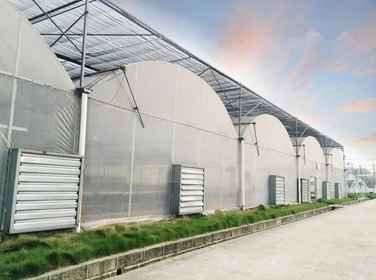 multispan green house.jpg