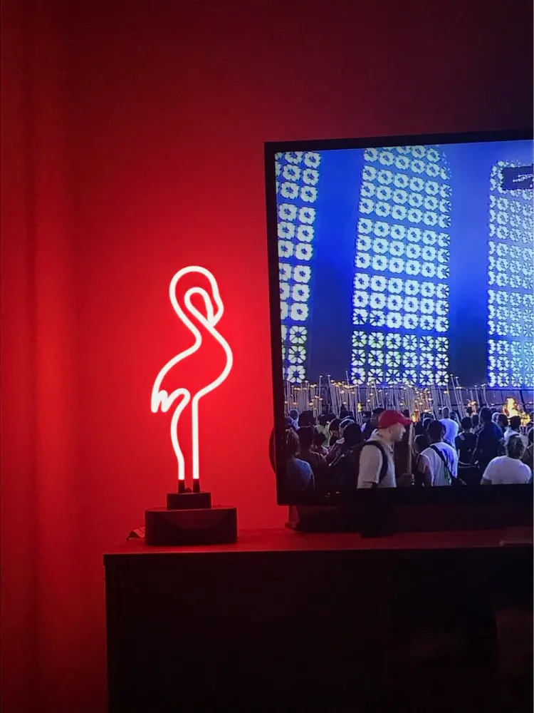 neon sign flamingo