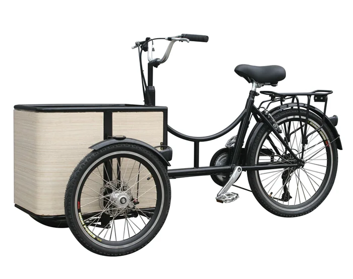 bakfiets electric cargo bike