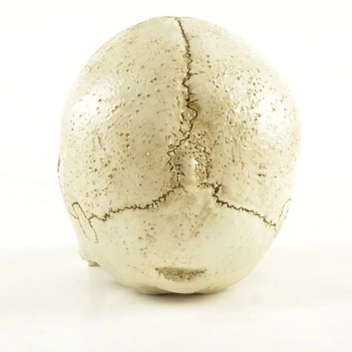 Polyresin Custom  Hollow Human Head Mold Handicrafts Skeleton Resin Halloween Heads