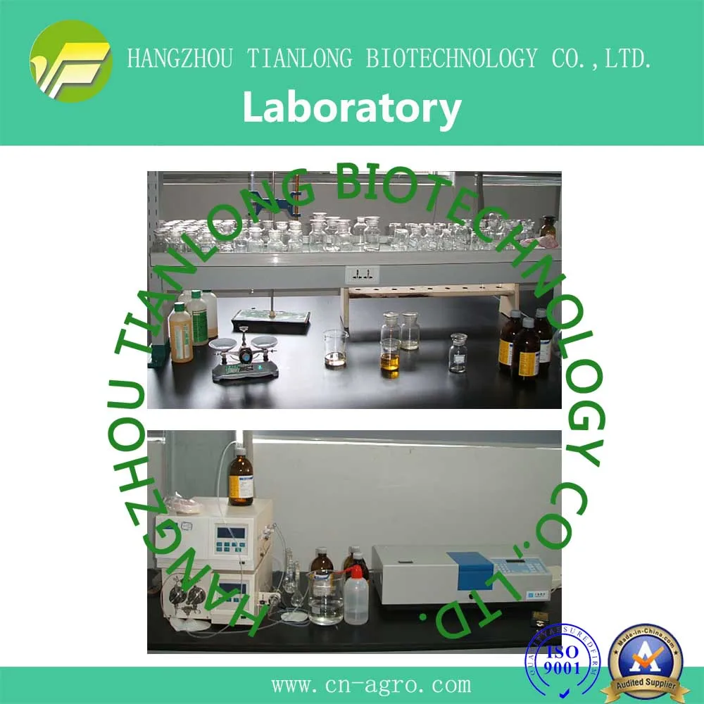 Laboratory .jpg