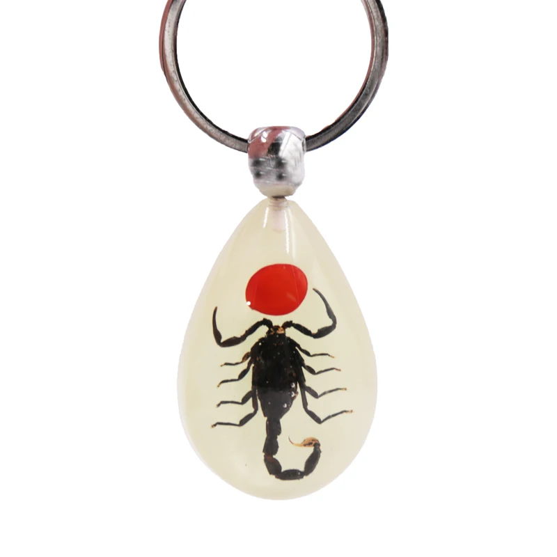 

Luminous scorpion amber keychain fluorescent real insect amber keyring