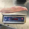 Frozen red snapper Fillet from Indonesia