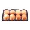 Plastic Silicone Incubator Biodegradable Carton Deviled Tray Roll Packaging For Chicken Eggs