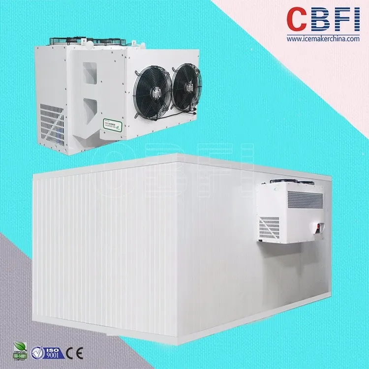 product-2017 Mobile Solar powered cold room-CBFI-img-1