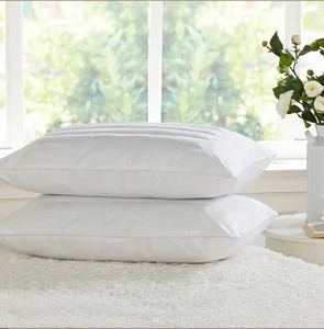 Hotel Buckwheat Pillow Hotel Buckwheat Pillow Suppliers And