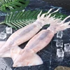 whole cleaned squid