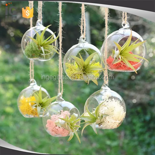 

Hanging glass vase air plant terrarium for home decor, Clear