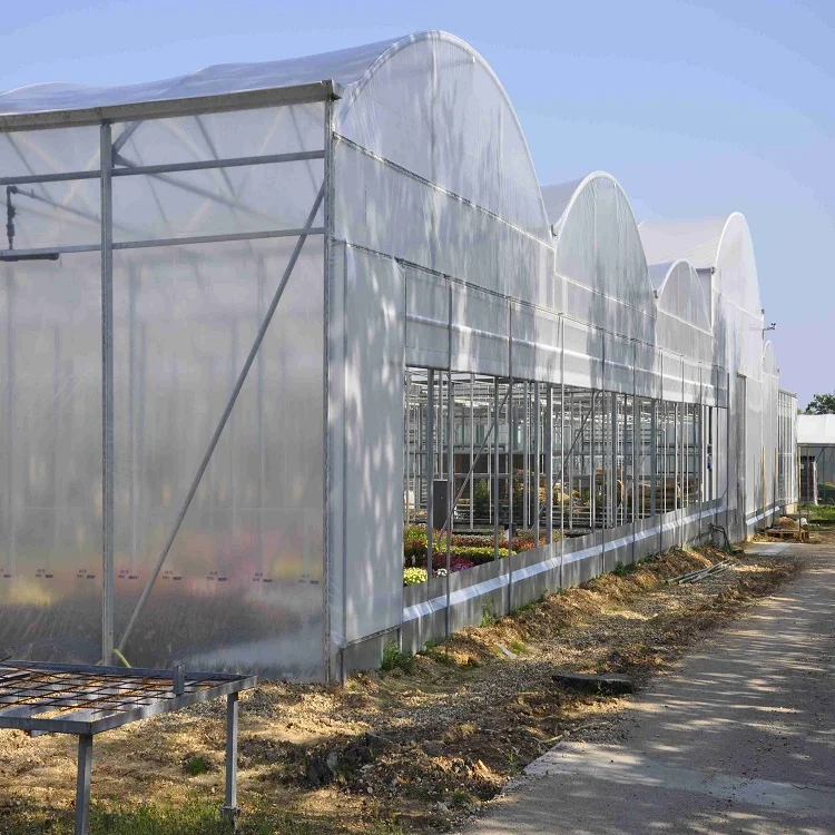 Venta al por mayor invernadero o invernáculo-Compre online los mejores