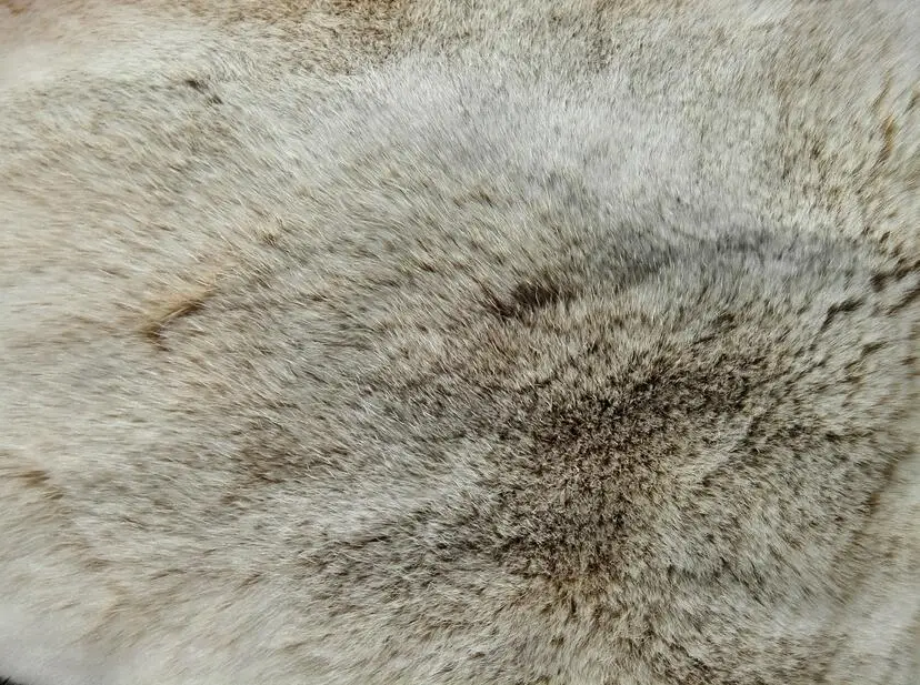 Chinchilla Fur Rex Rabbit Fur For Sale Buy Raw Rabbit Fur/natural