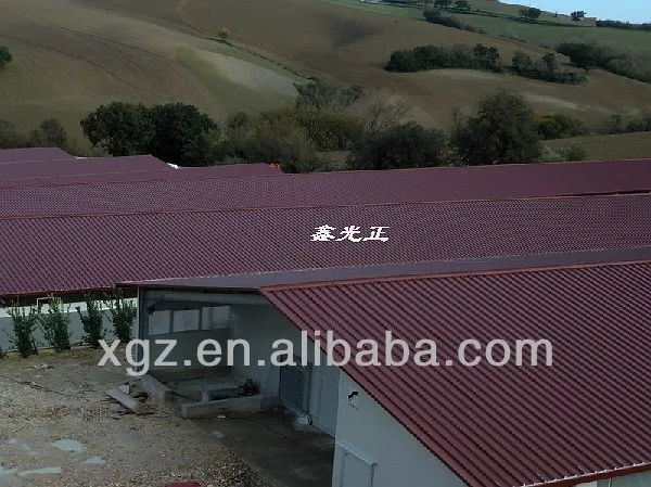 Pakistan Chicken Shed / Poultry Farm / Chicken House - Buy 