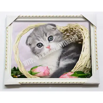 High Definition Distributors Wanted Cute Animal Cat  3d  