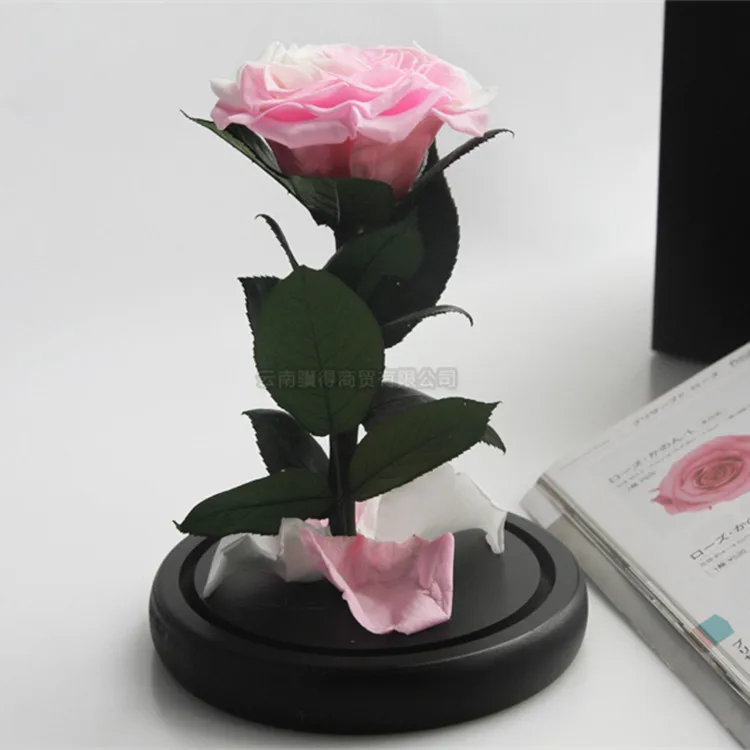 
Colorful 100% Real Enchanted Rose in glass dome eternal rose preserved flower 