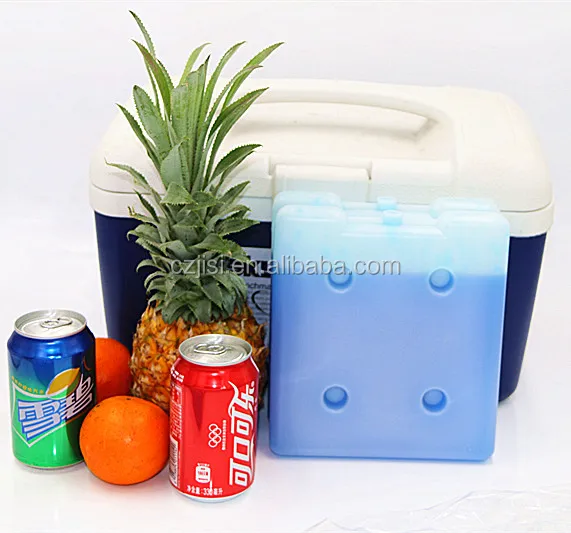 

Blow molded eutectic freezer cold plate ice cooler packs for shipping food, Customized