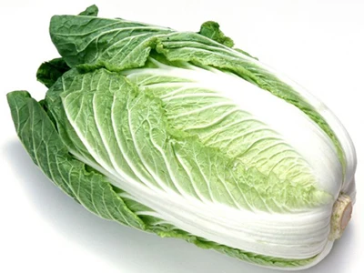 Chinese cabbage3.jpg