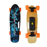 

wholesale small fish plate boosted electric skate board remote control electric skateboard