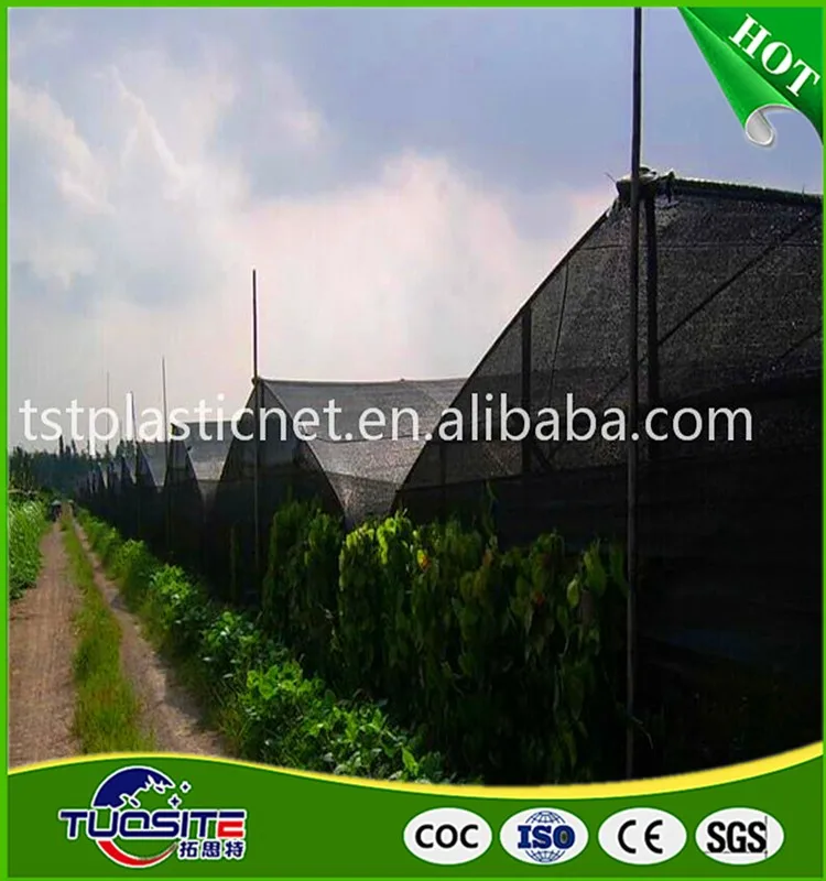 Cheap Agro Shade Net Bulk Shade Cloth 60 Black Vegetable Nursery Sun