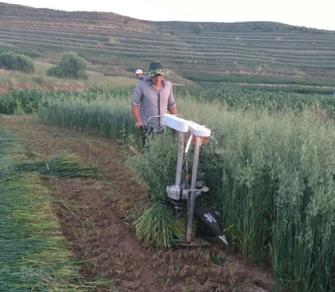 grain cutting machine 03.jpg