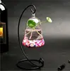 bell shape hanging glass terrarium