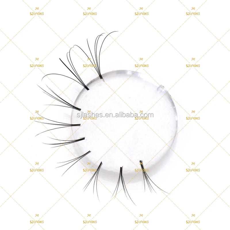 

Private Label Lashes Packaging Box Korea Material 3D Easy Fanning Lashes Silk Eyelash Extension