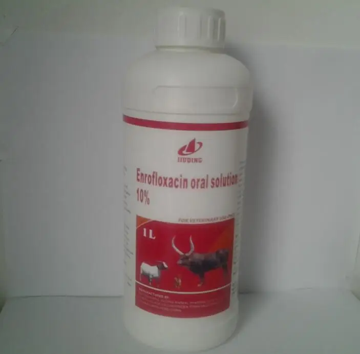 Poultry Enrofloxacin Liquid Price For Birds Animal Medicine Buy Enrofloxacin Poultry Enrofloxacin Enrofloxacin For Birds Product On Alibaba Com