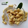 New Crop Raw Chinese Bulk Peanut In shell market price