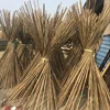 FD - 15624 natural tea bamboo pole