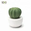 /product-detail/cactus-ceramics-aroma-diffuser-aromatherapy-diffuser-commercial-air-freshener-60702338361.html