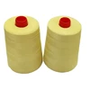 Flame Retardant Para Aramid Sewing Thread Ne 30/3 Manufacturer