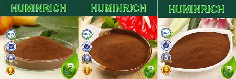 Humic Acid Powder.jpg