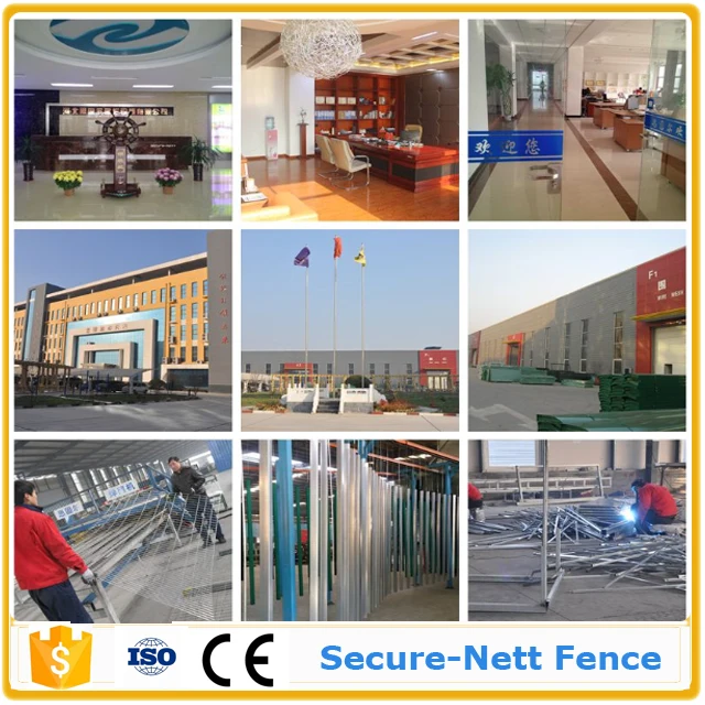 factory  strength.jpg