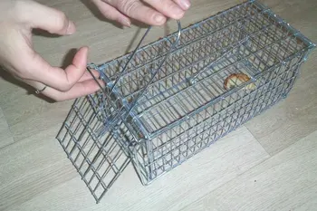 老鼠陷阱金属笼子