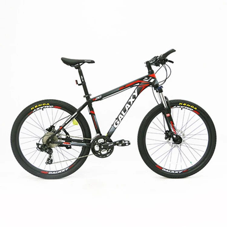 inexpensive mountain bike