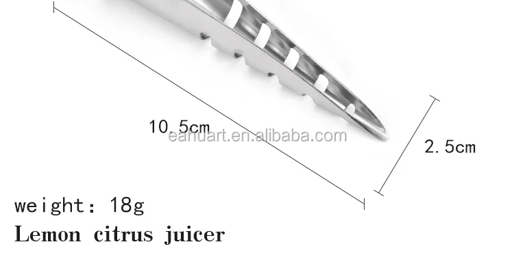 fruit juicer