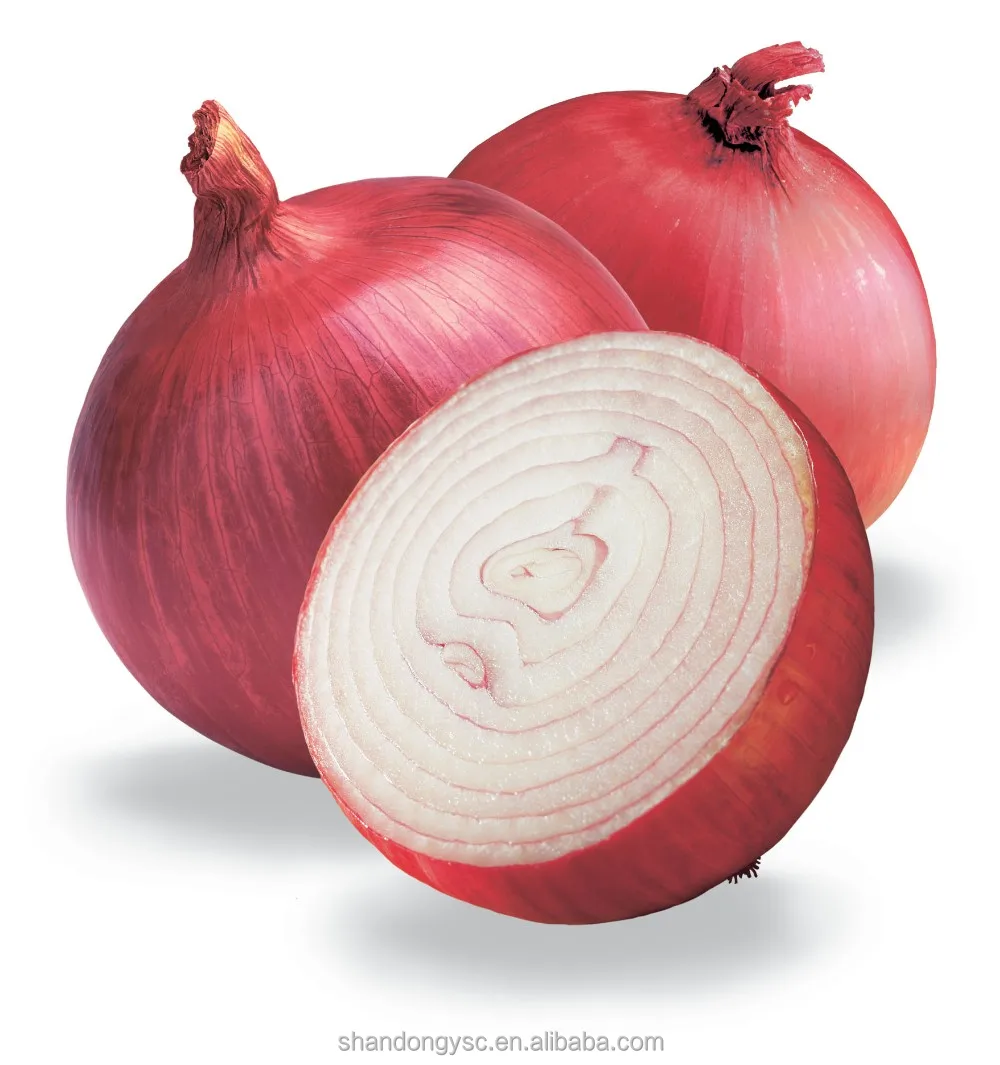 Fresh Red Onions Bulk Packing 20kg Mesh Bag - China Onion, Fresh Onion