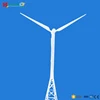 30kw permanent magnet generator maglev wind turbine for home use or farm use