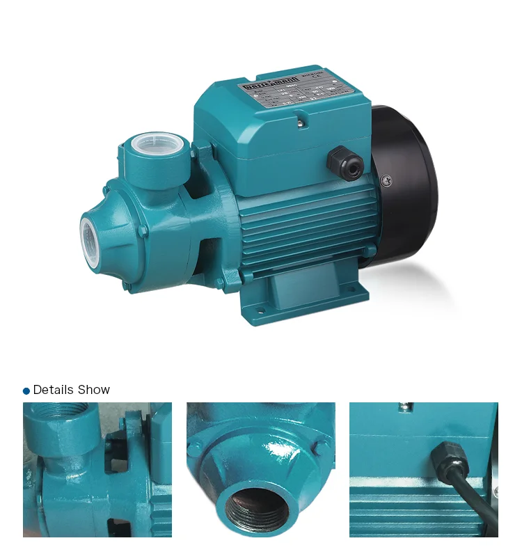 Vortex qb60 qb80 Peripheral Water Pump 