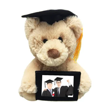 cheap graduation bears