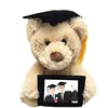 Wholesale Cheap China Toys Graduation Teddy Bear Walmart with Cap and Diploma/Stuffed Graduation Bears
