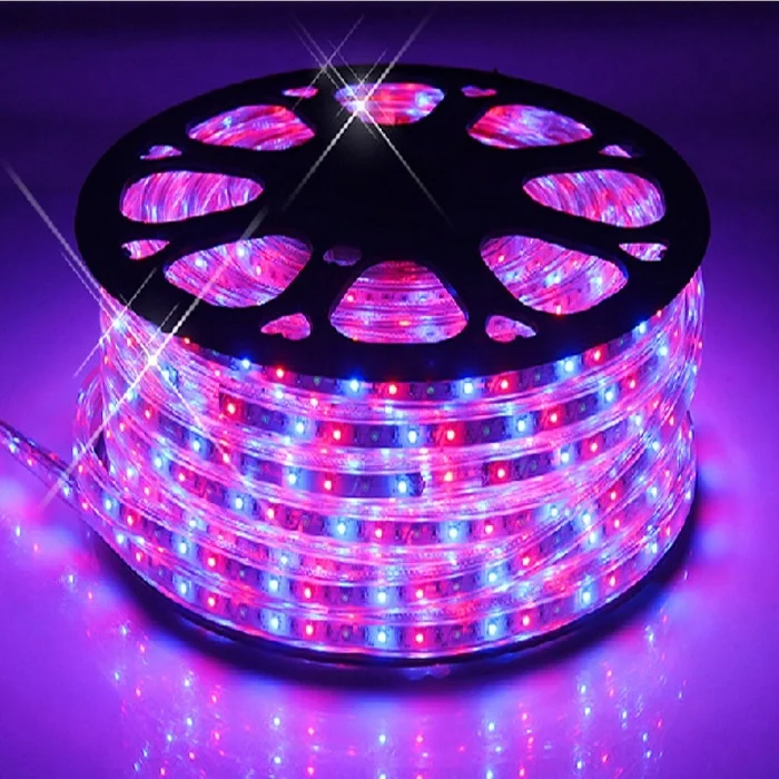 
High voltage smd 5050 100m 220v rgb led strip 