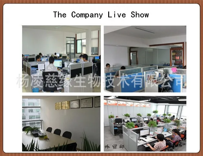 The Company Live Show