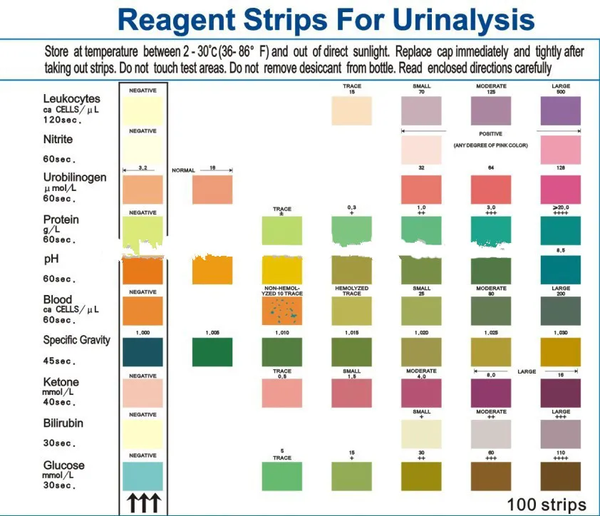 10 SG Urine Reagent Strips.jpg
