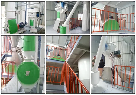 chicken poultry farm equipment food processing machinery