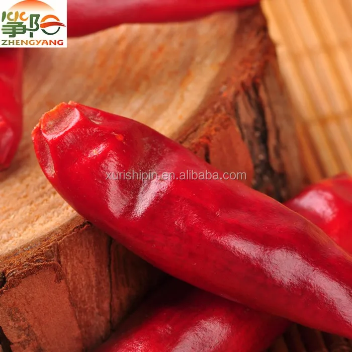 hot tianying (1).jpg