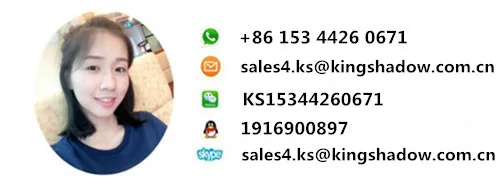 kigngshadow-name card_.jpg