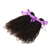 Malaysian Hair Wet And Wavy, Malaysian Kinky Straight Hair Weave