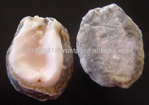 
Frozen Locos, Chilean Abalone 