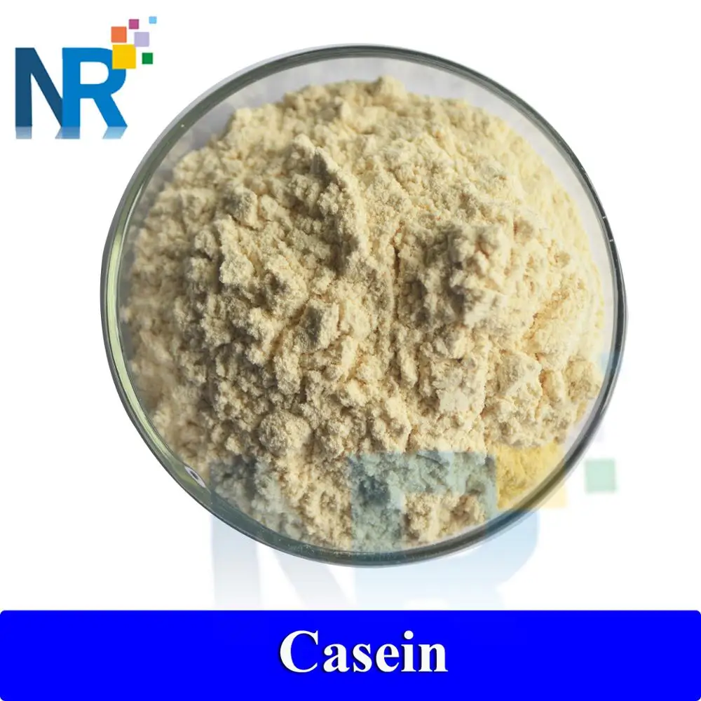 
Factory price bulk edible casein powder 